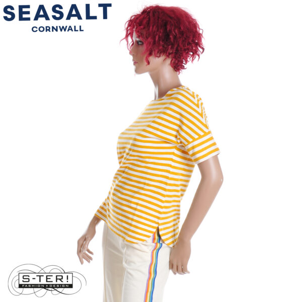 S7.44 Seasalt Cornwall bryher view top mini cornish daylily chalk - Afbeelding 3